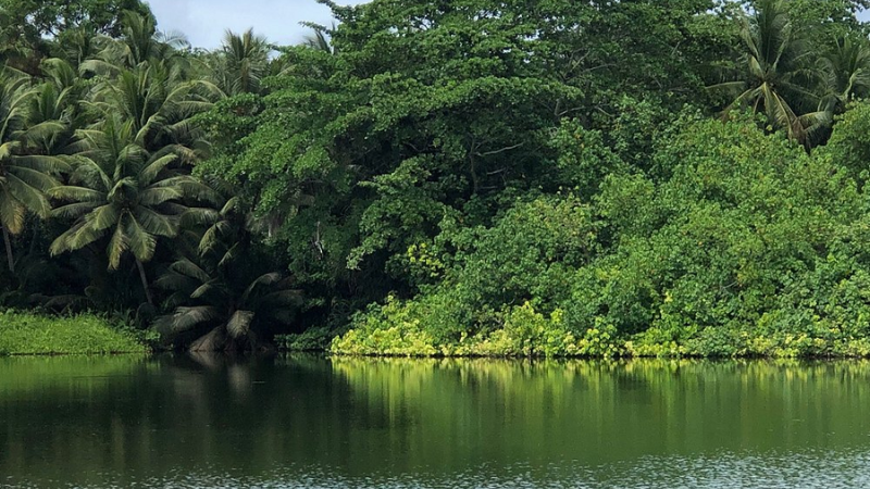 sim du lịch nauru 3