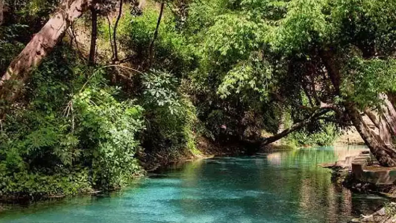 sim du lịch Nigeria 5