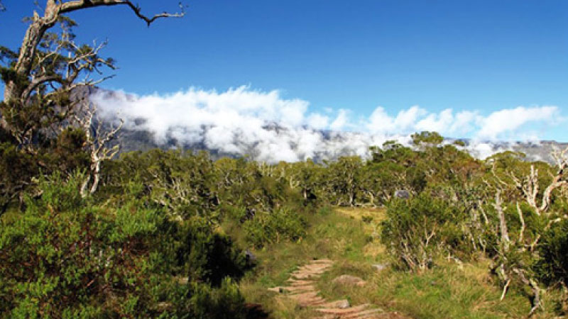 sim du lịch Reunion 5