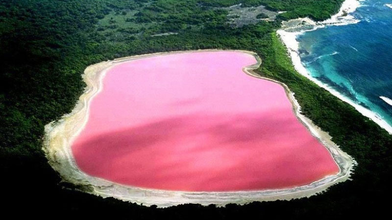 sim du lịch Senegal 2