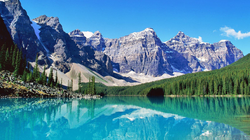 sim du lịch ch&acirc;u mỹ 2