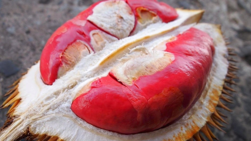 Sim du lịch Malaysia 4