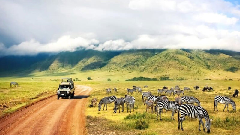 sim du lịch Tanzania 4
