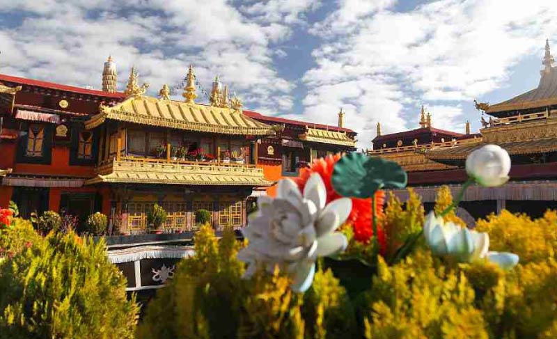 sim du lịch tây tạng 1