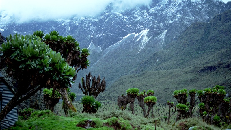 sim du lịch uganda 5