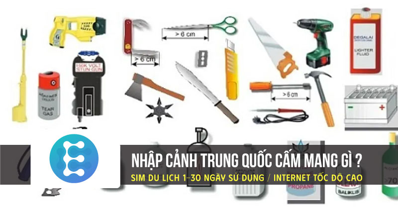 Nhập cảnh Trung Quốc cấm mang gì, nguyên nhân bị cấm